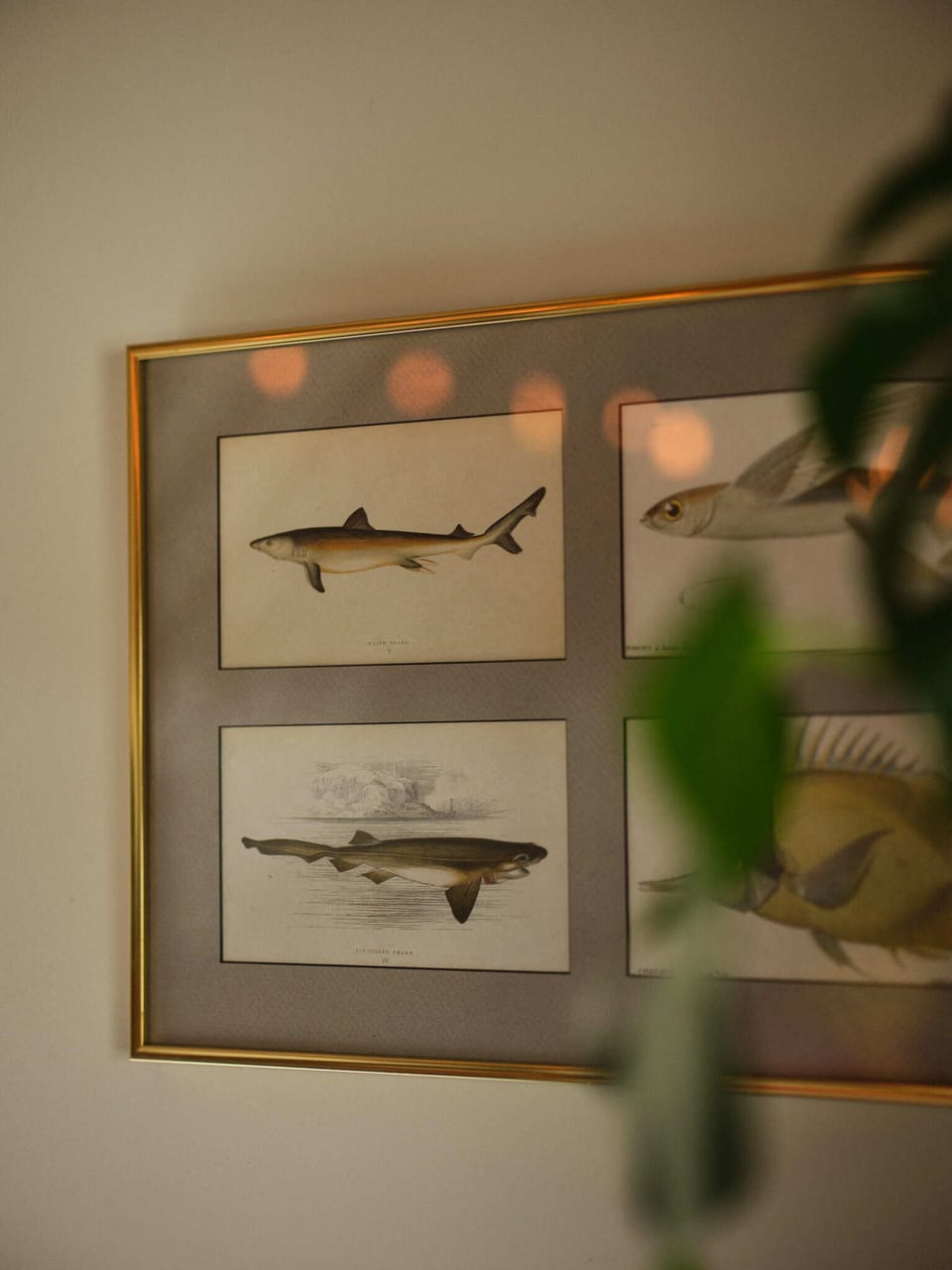 Interior detail