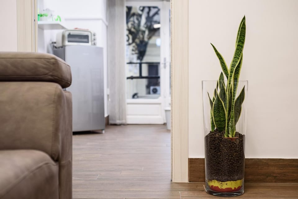 House | 1 bedroom