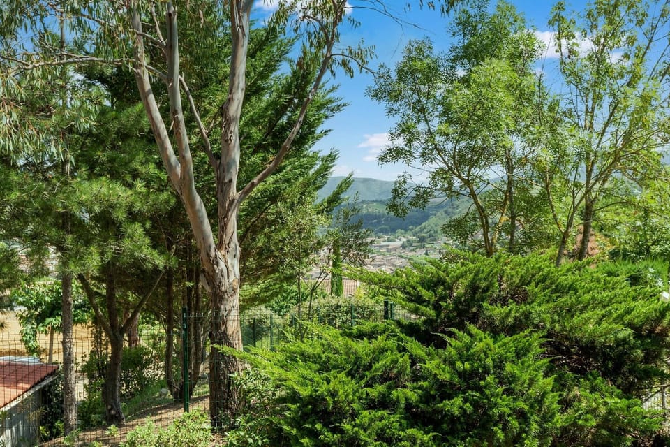 Immediate Surroundings [summer] (<1 km)