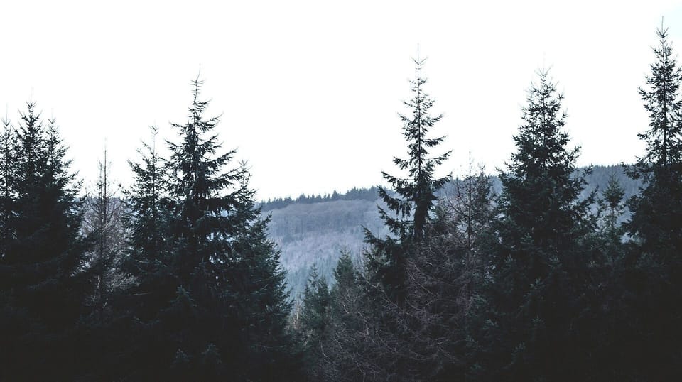 Forest of Dean, Betty, Bolthole Retreats