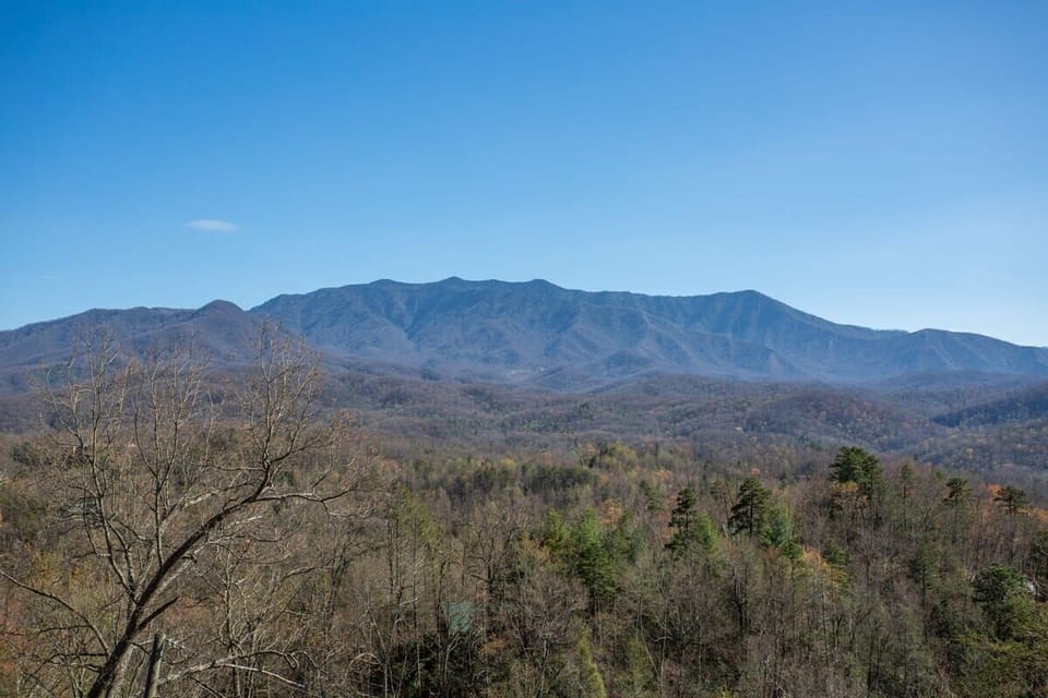 Look At The View Of The Great Smoky Mountains National Park From This Cabin!