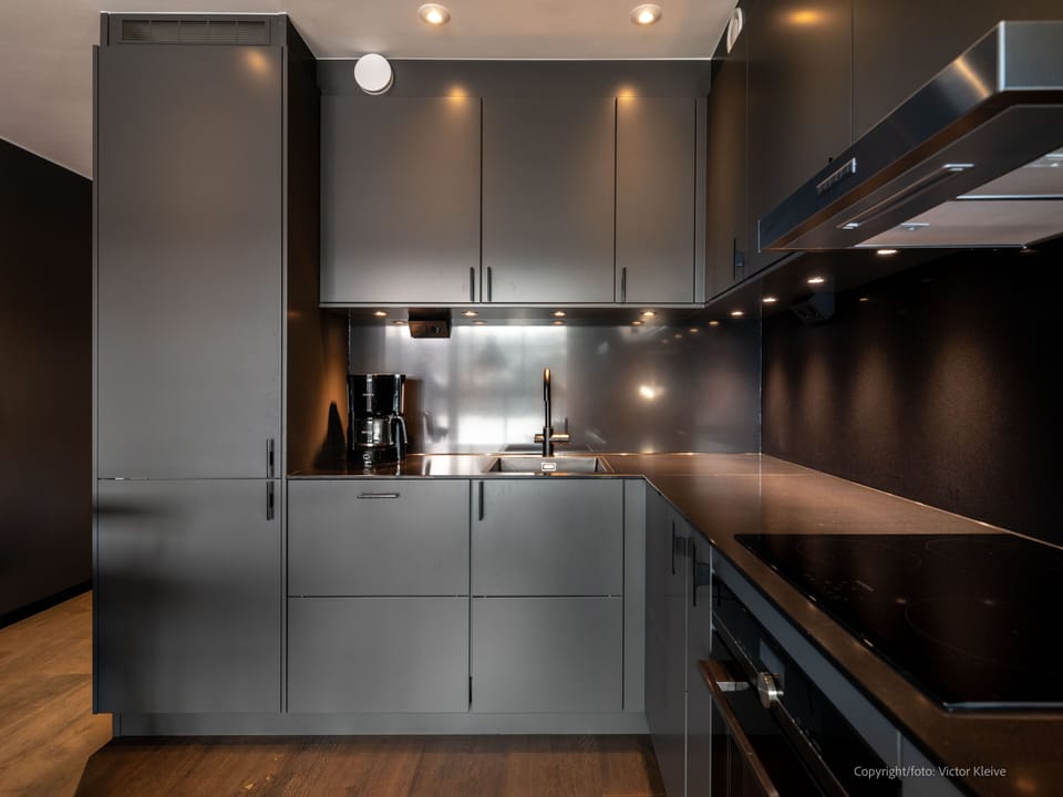 Apartment | Private kitchen | Fridge, microwave, oven, stovetop