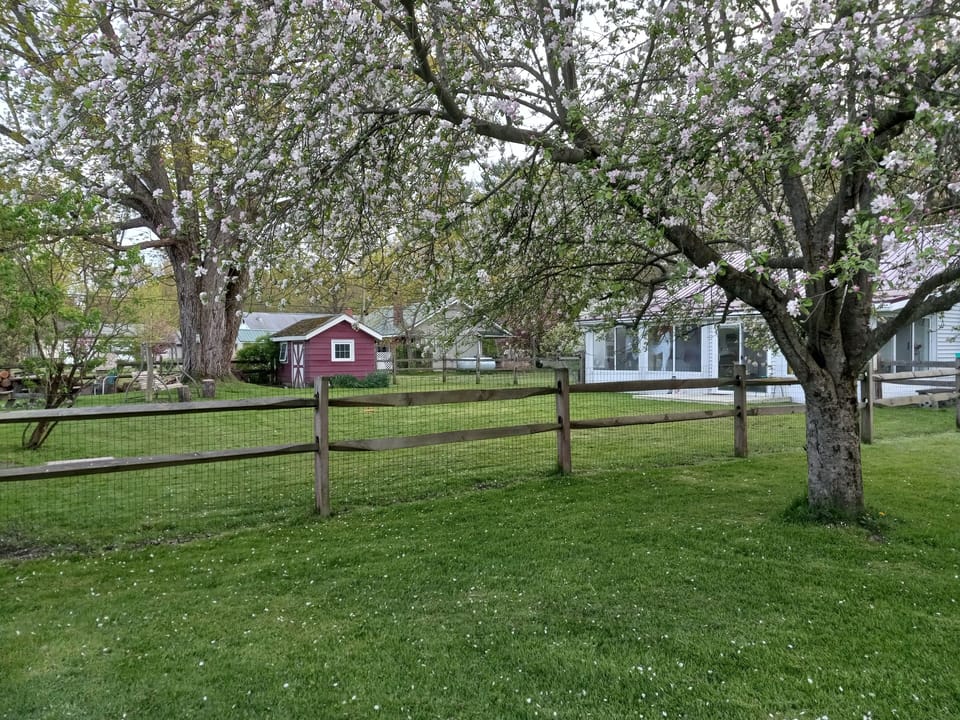 side view of back yard and back of house