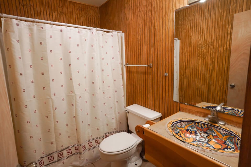 Bathroom view