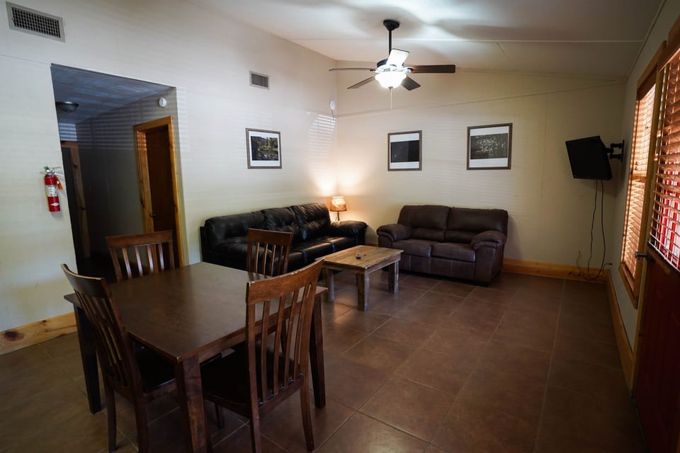 Living room + dining view