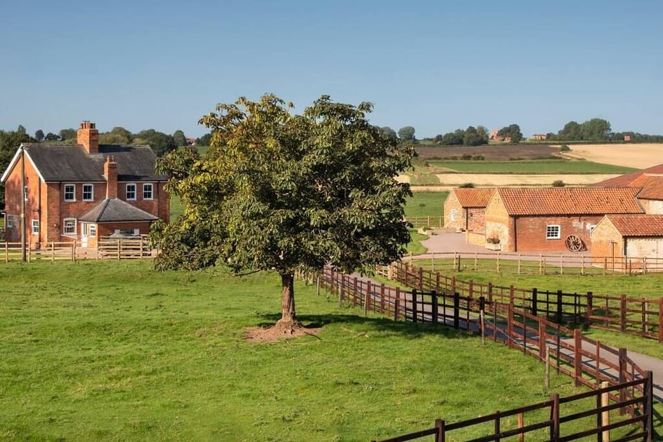 View of Cottages