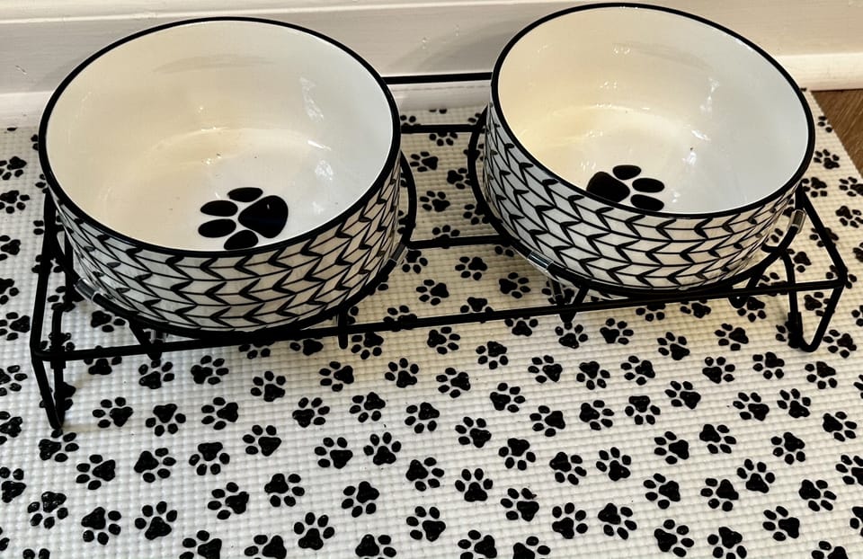 Bowls for all the Fur Babies.