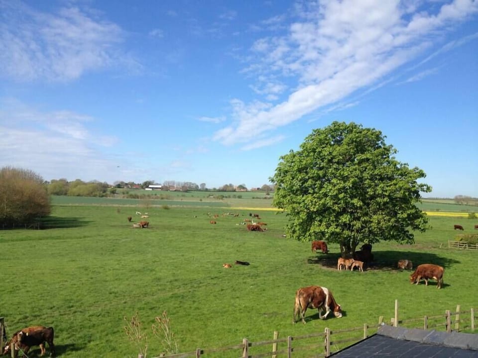 View from the main bedroom across the Bain valley