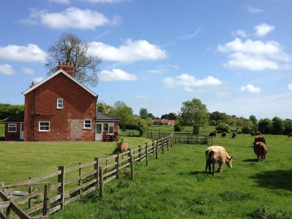 Peaceful Neighbours