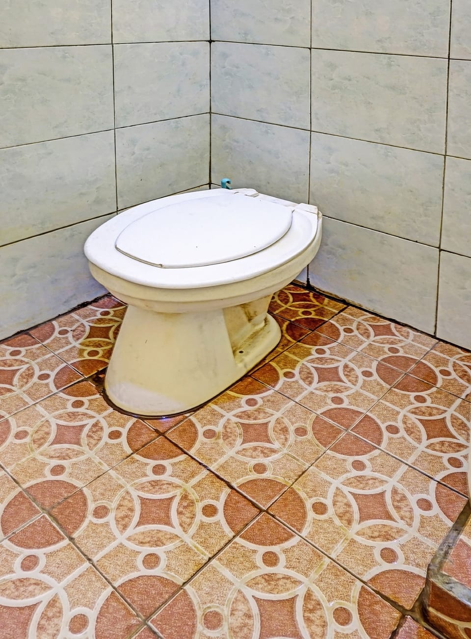 Economy Double Room | Bathroom | Shower, towels, toilet paper