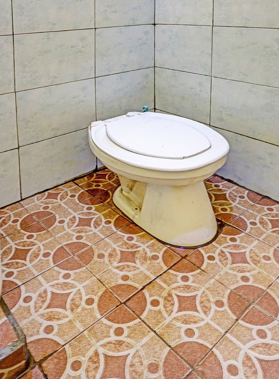 Economy Double Room | Bathroom | Shower, towels, toilet paper