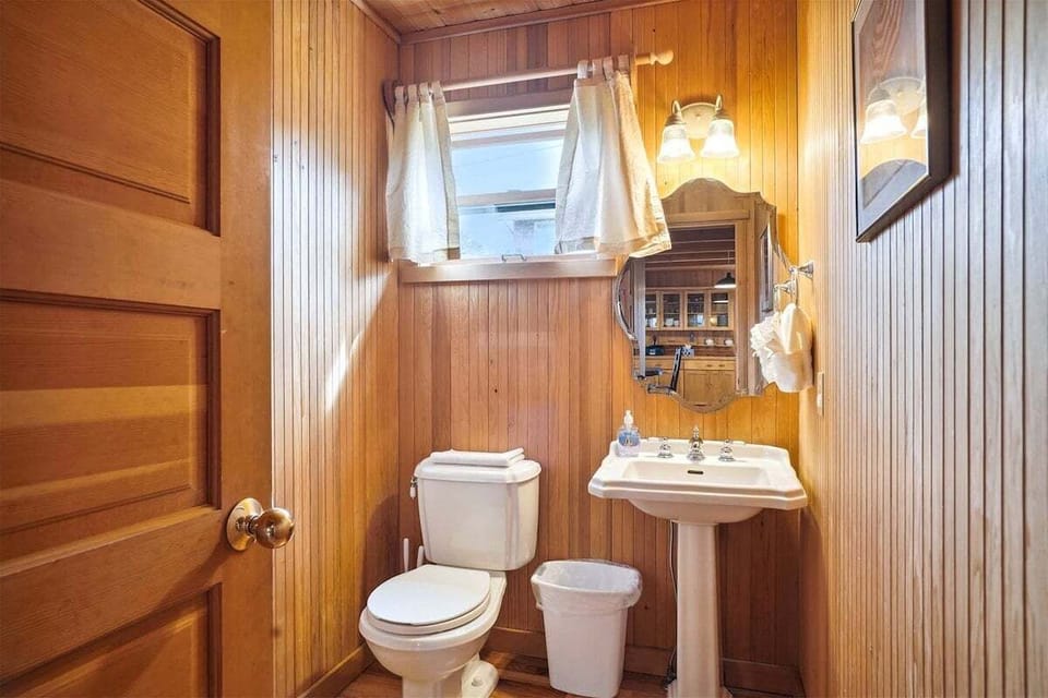 Downstairs powder room at Nebesna House