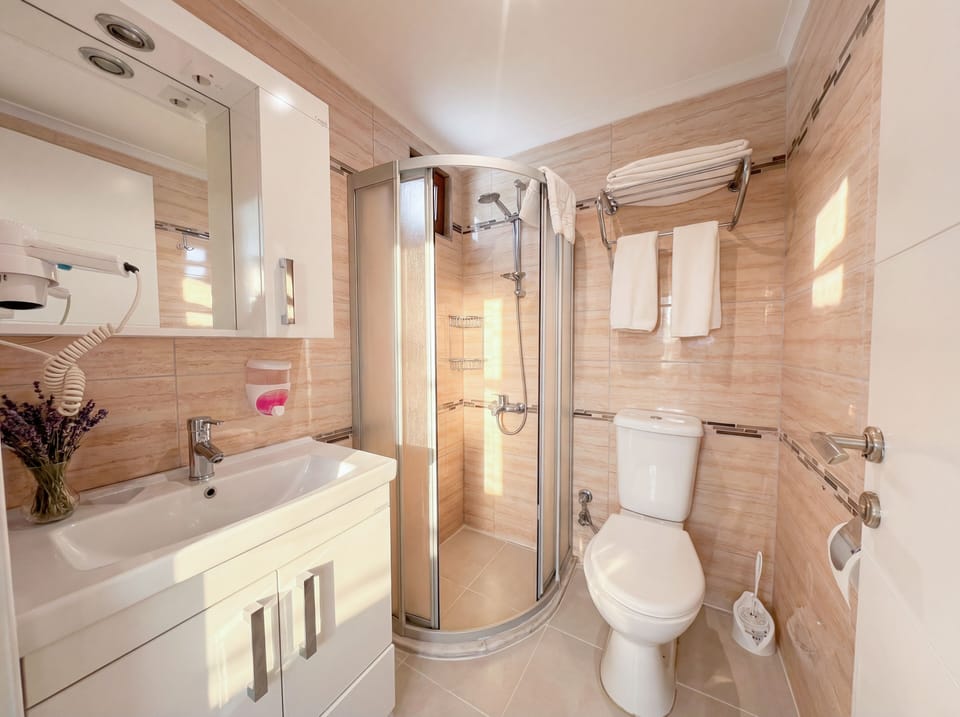 Standard Room | Bathroom | Shower, hair dryer, towels, soap