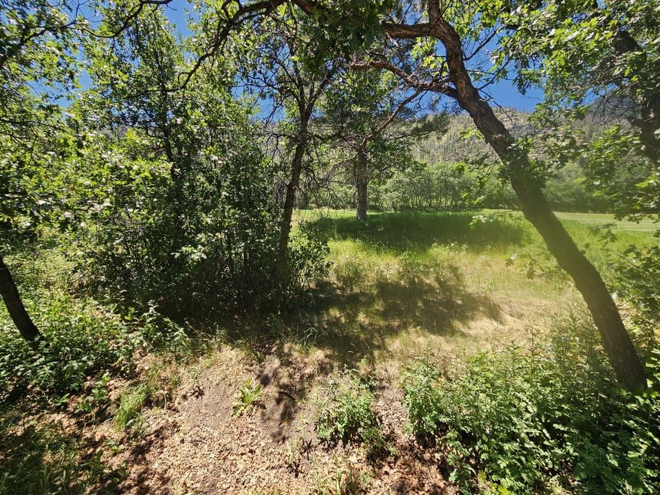 Deck Views - Facing West