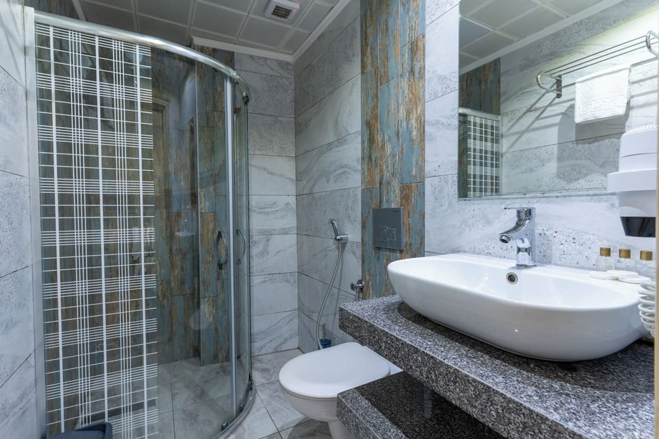 Hair dryer, slippers, bidet, towels