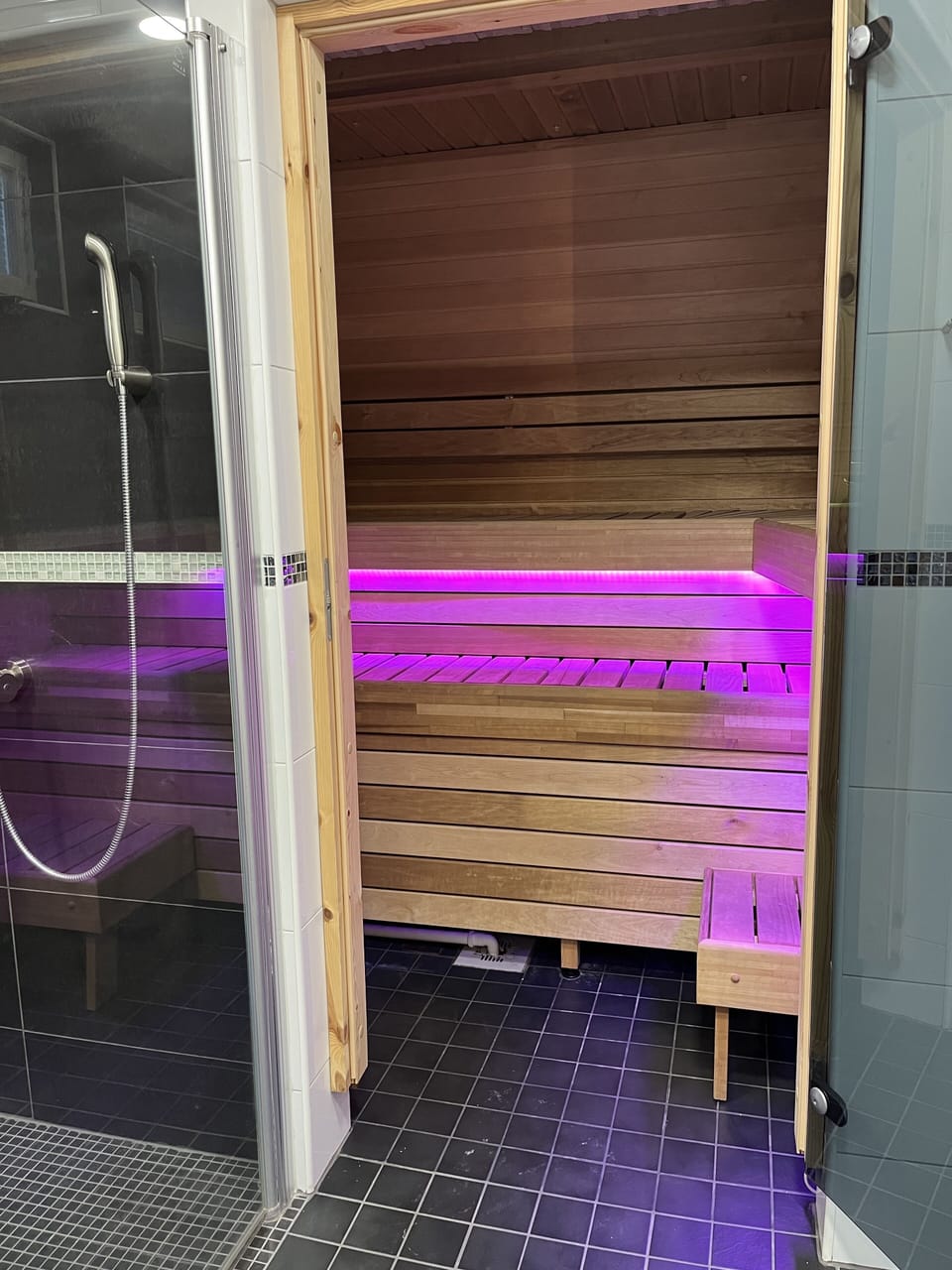Double shower/Sauna/WC
