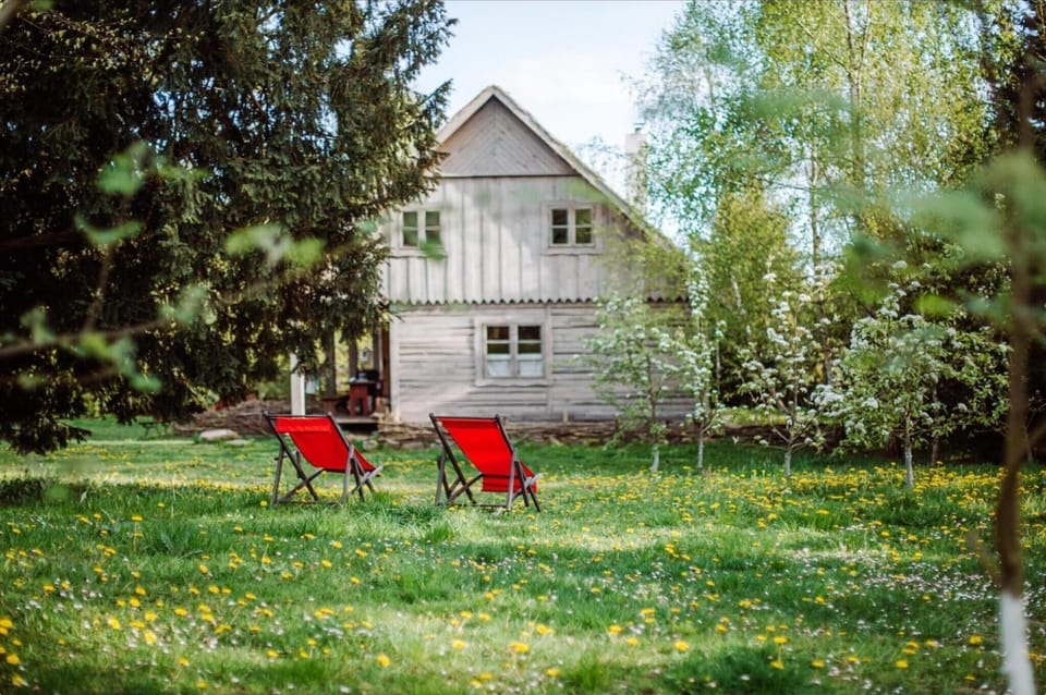 Garden [summer]