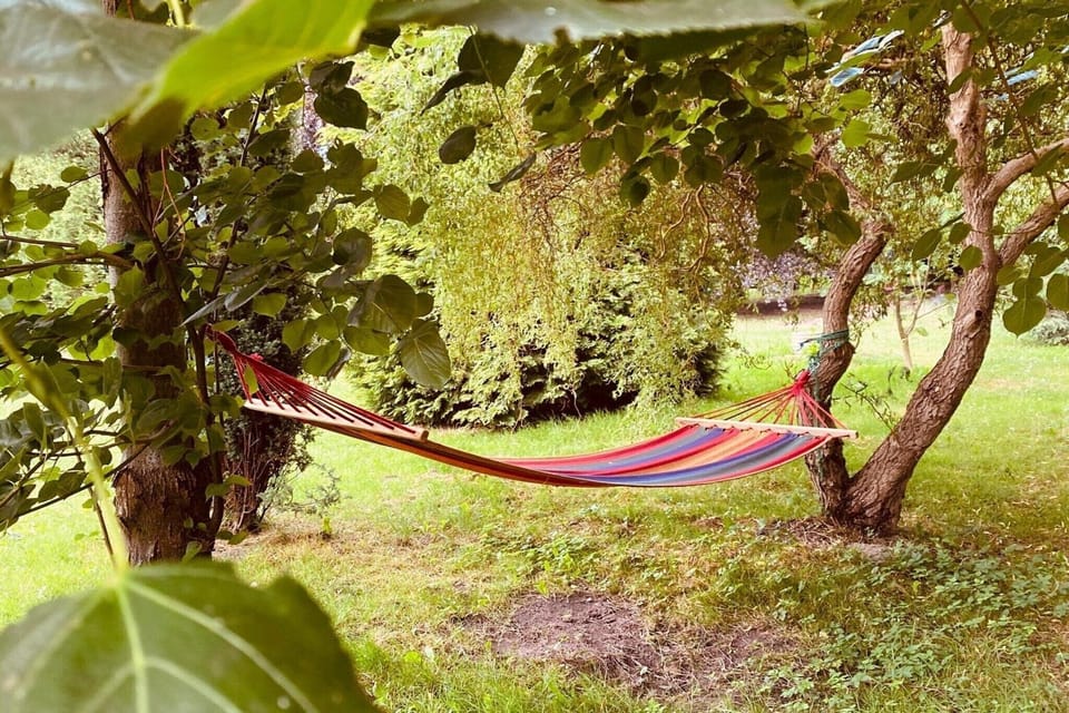Garden [summer]