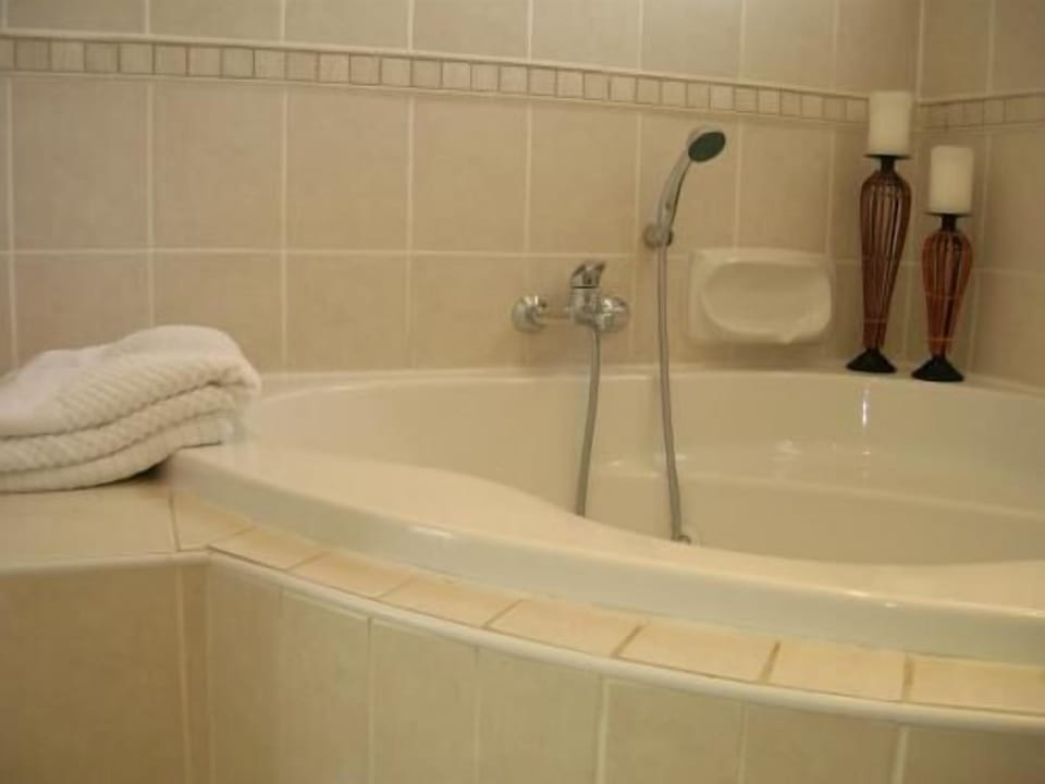 Executive Room | Bathroom | Separate tub and shower, towels, soap, shampoo