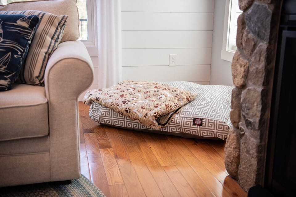 We know how much you love traveling with your canine companions - dog friendly!