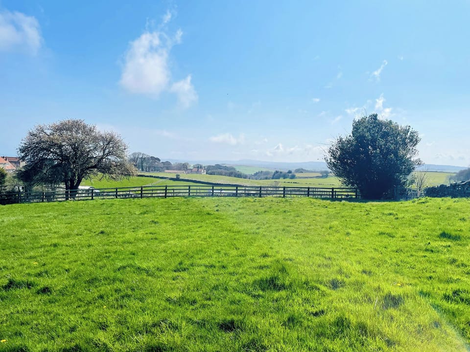 Garden and grounds | Wood View - Newlands Lodges, Scarborough