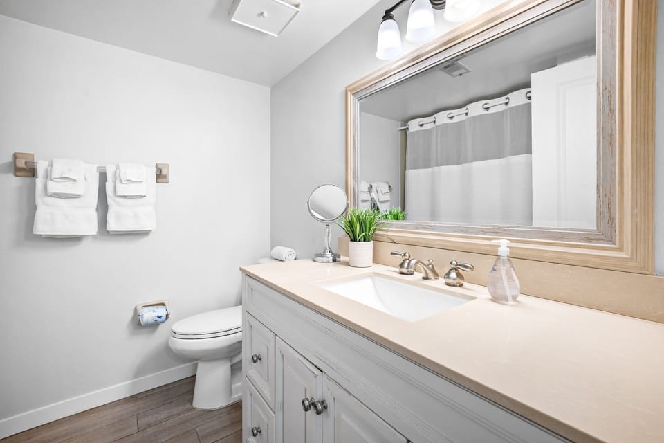 Guest bathroom with large vanity area.