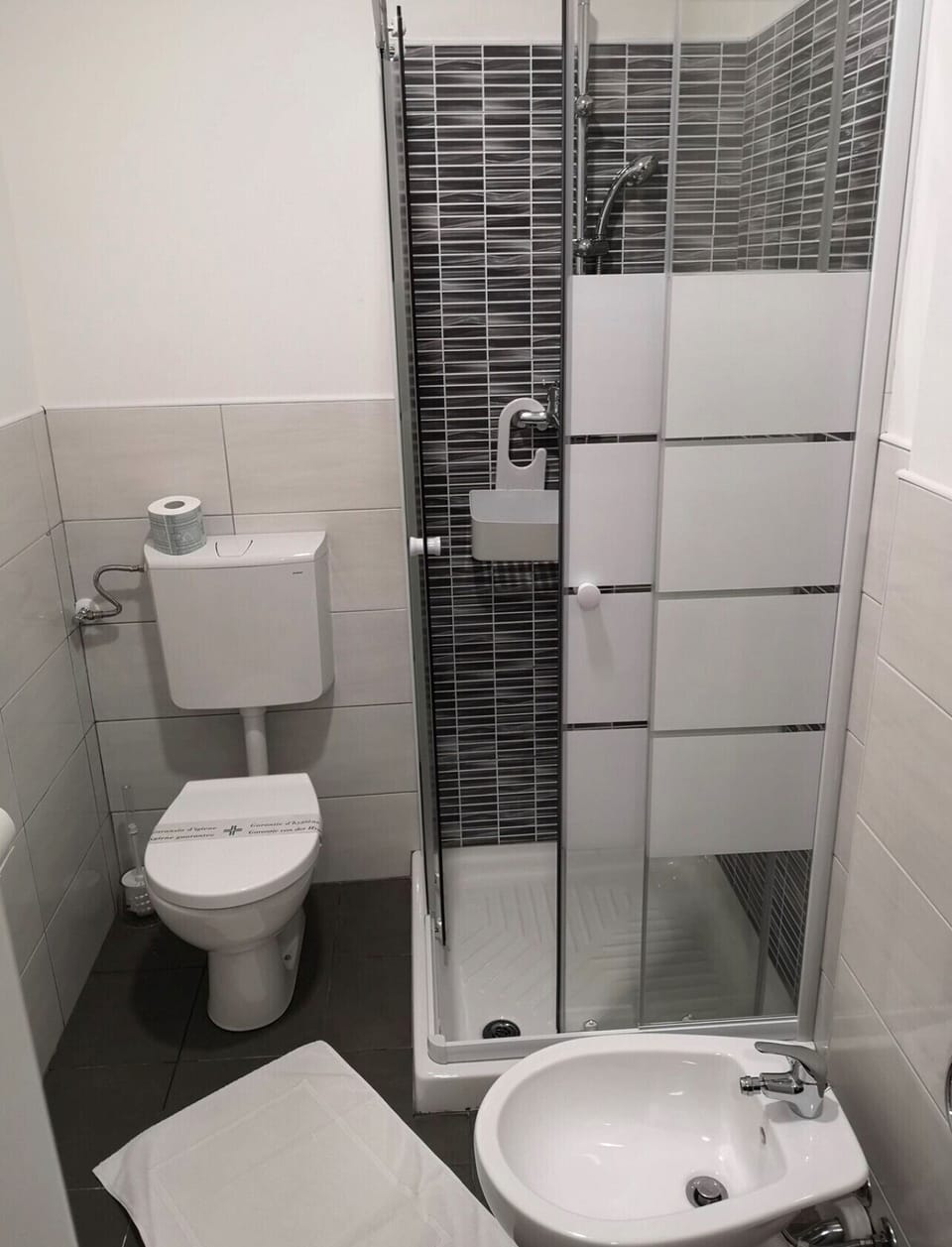 City Room | Bathroom | Shower, free toiletries, hair dryer, bidet