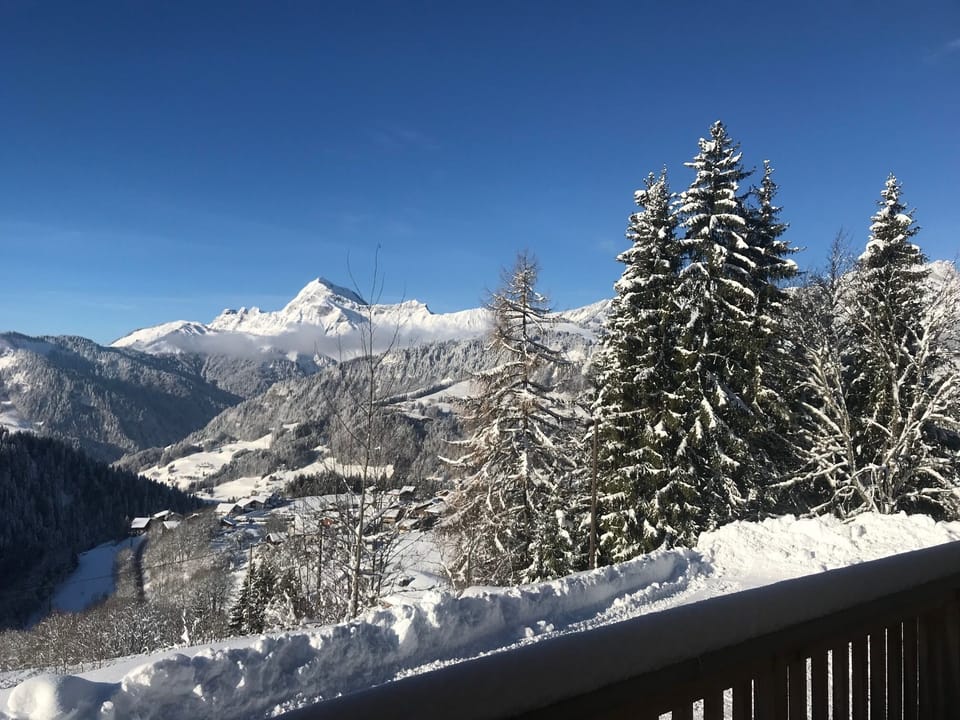 View from property