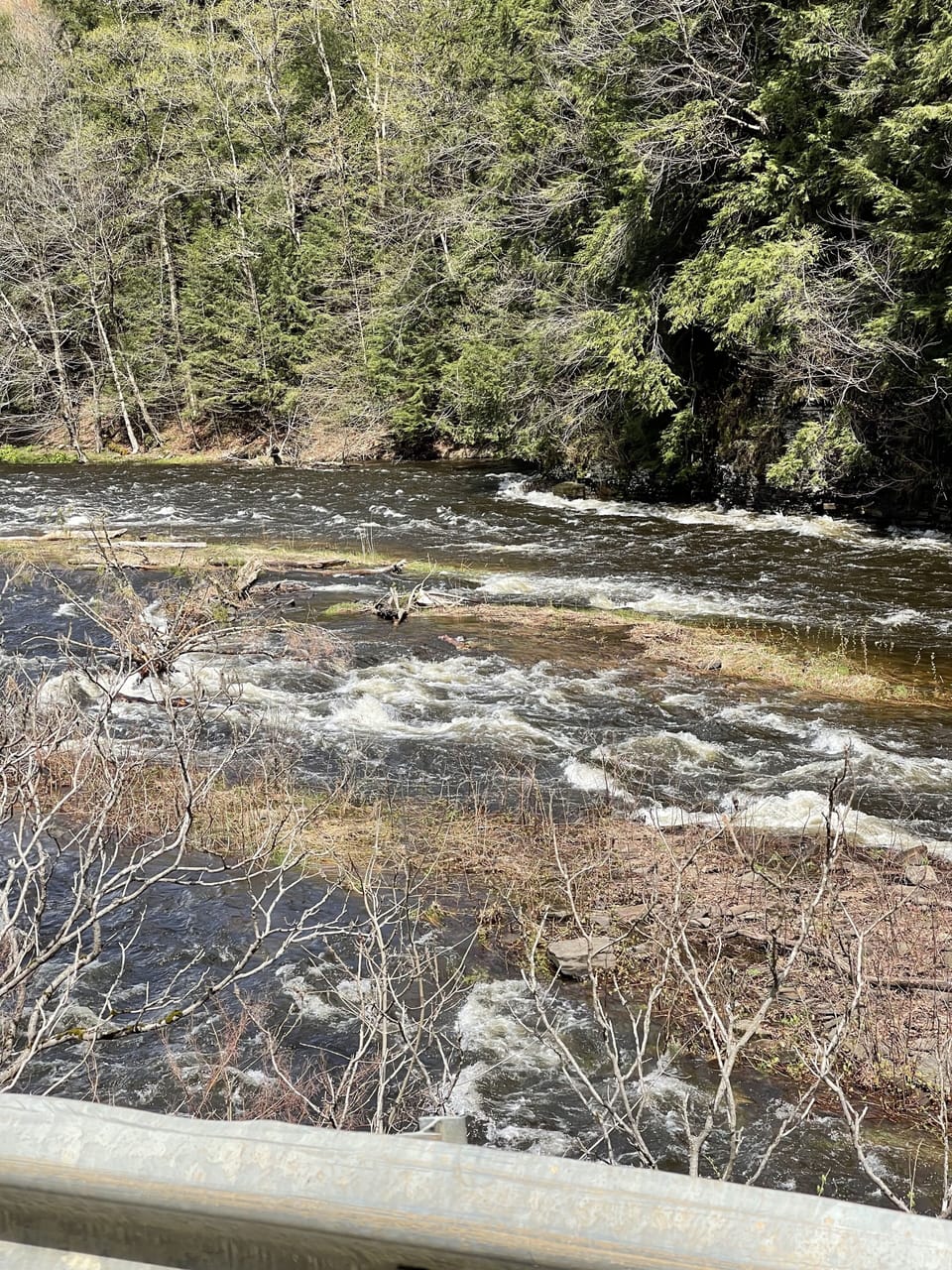 Local river for some of the best fishing on the hill.