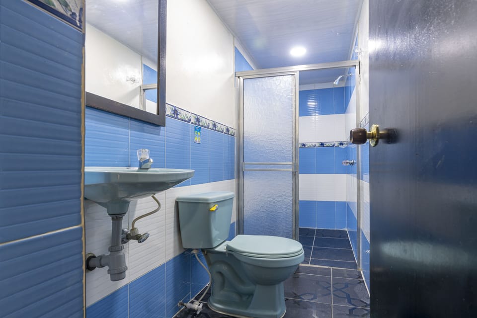 Shower, towels, soap, toilet paper