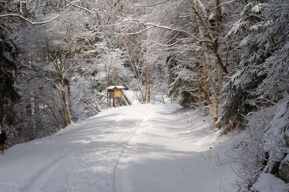 Surroundings [winter] (1-5 km)