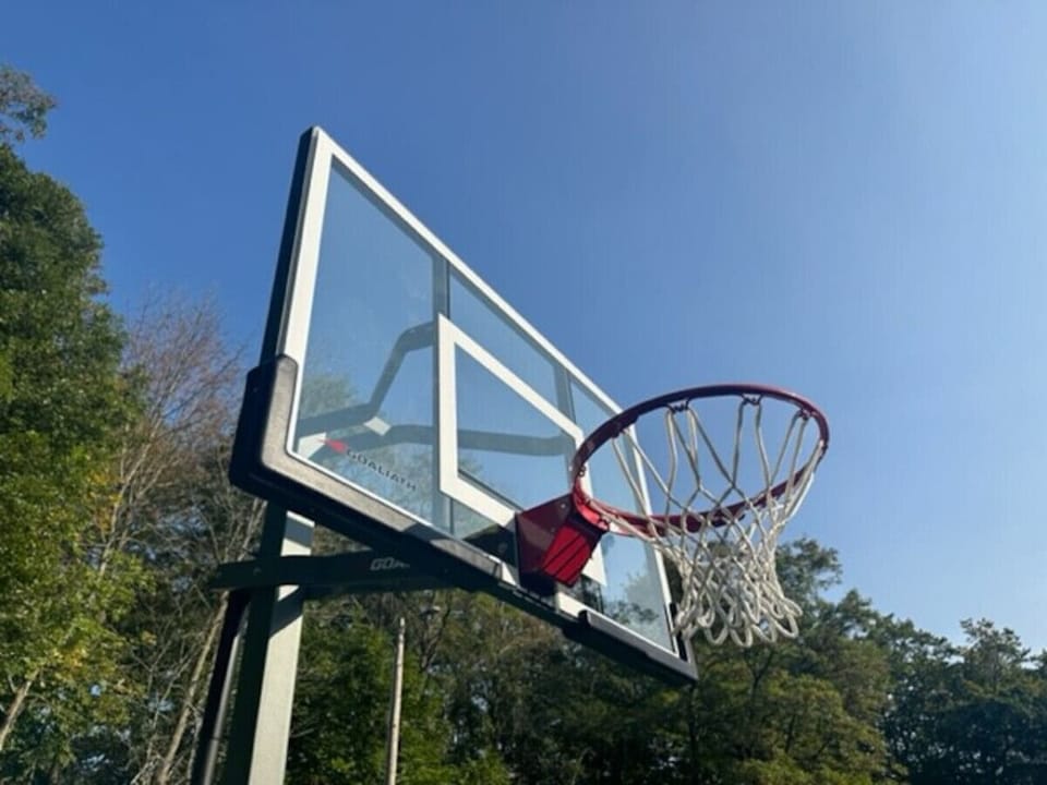 Basketball Hoop & Pickleball court