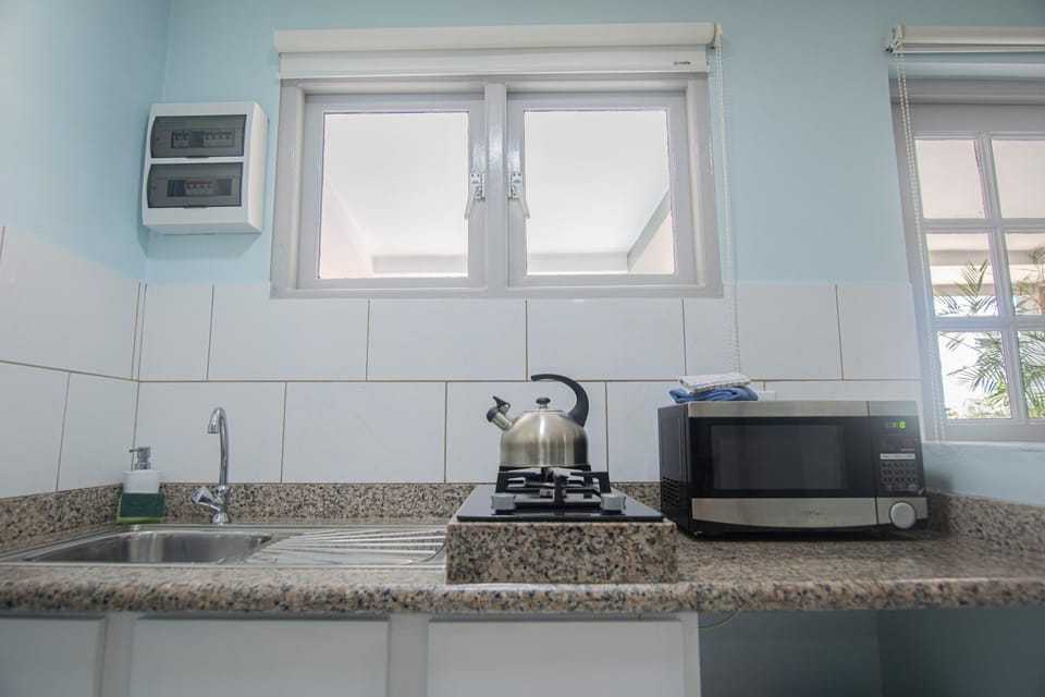 Kitchen equipped with microwave oven, stove and fridge.