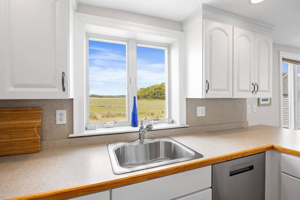 Kitchen sink and dishwasher with expansive marsh views