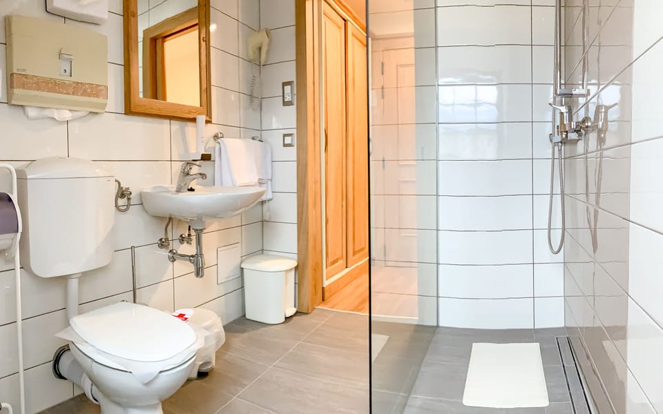 Standard Double or Twin Room, Non Smoking, Mountain View | Bathroom | Shower, hydromassage showerhead, hair dryer, towels