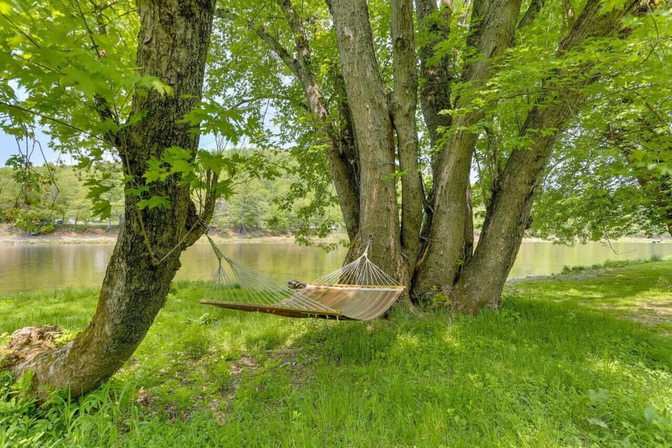 One of 2 hammocks - this one under the silver maple trees adjacent to the river