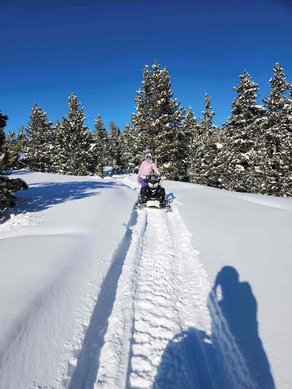 Snow and ski sports