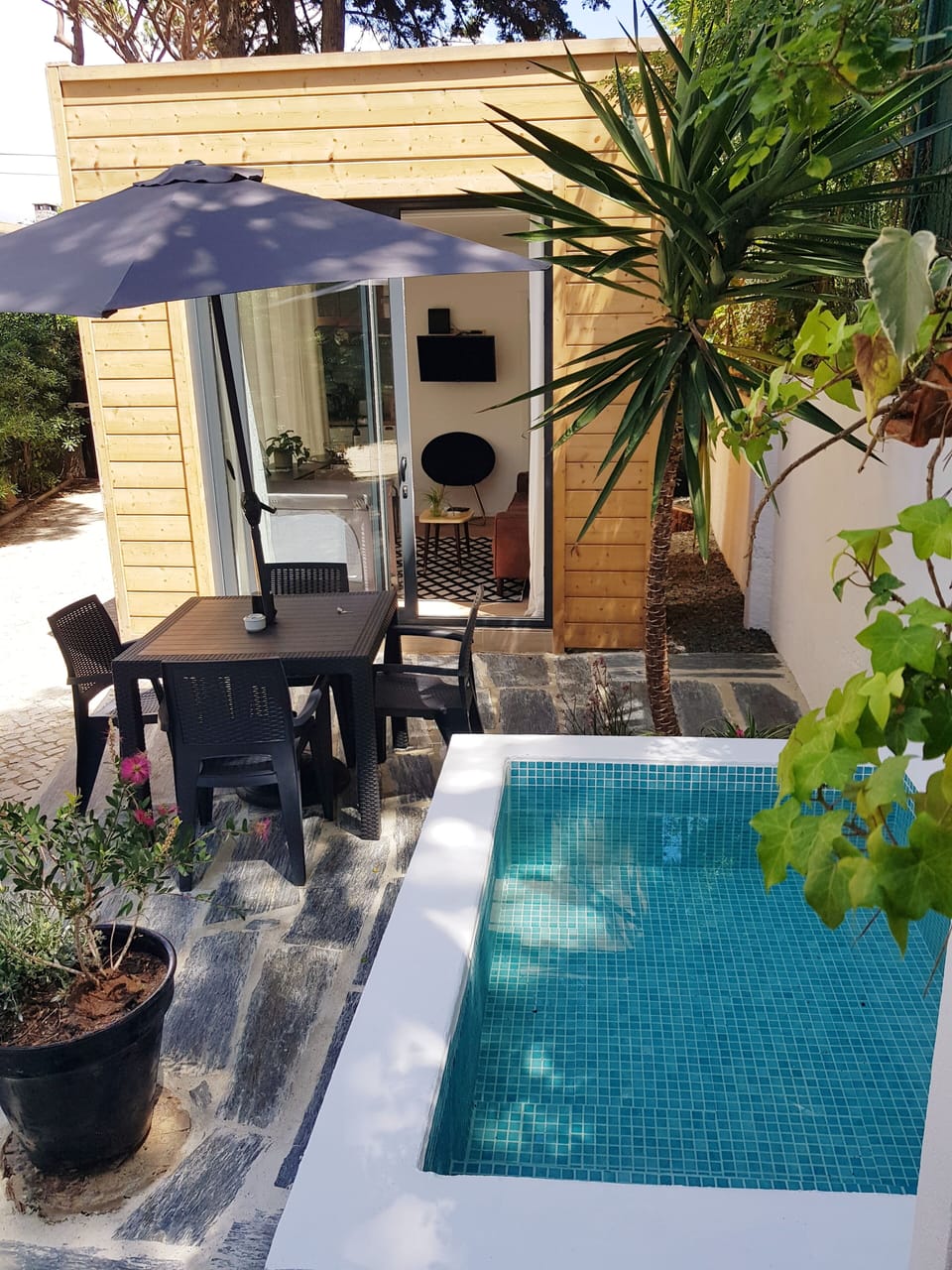 Patio with a plunge pool and the apartment with the amazing panoramic windows 