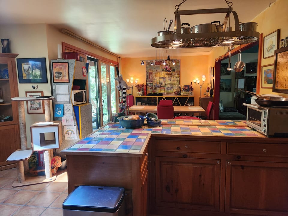View to dining area from kitchen