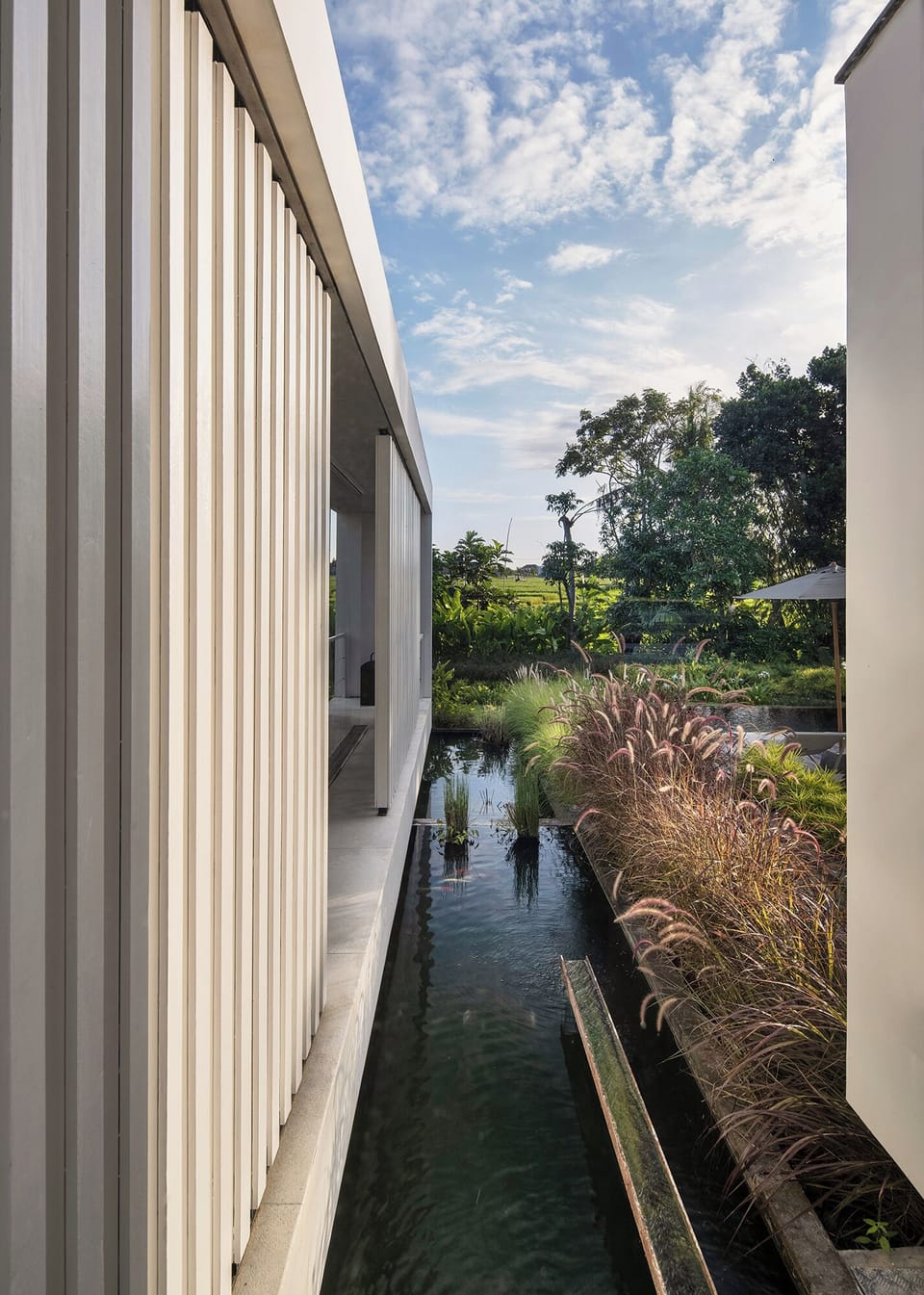 Luxury Villa | Garden view