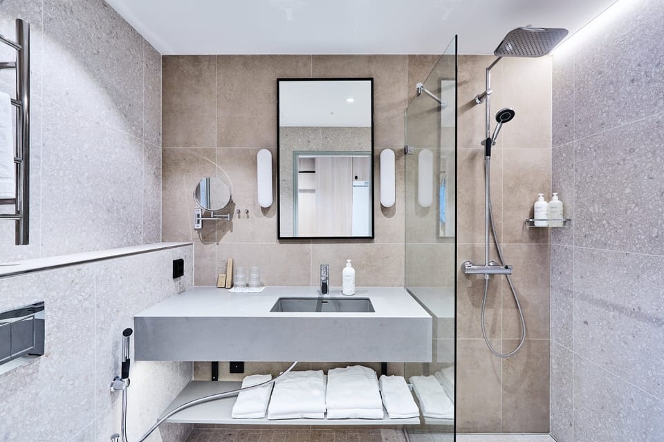 Shower, free toiletries, hair dryer, bidet