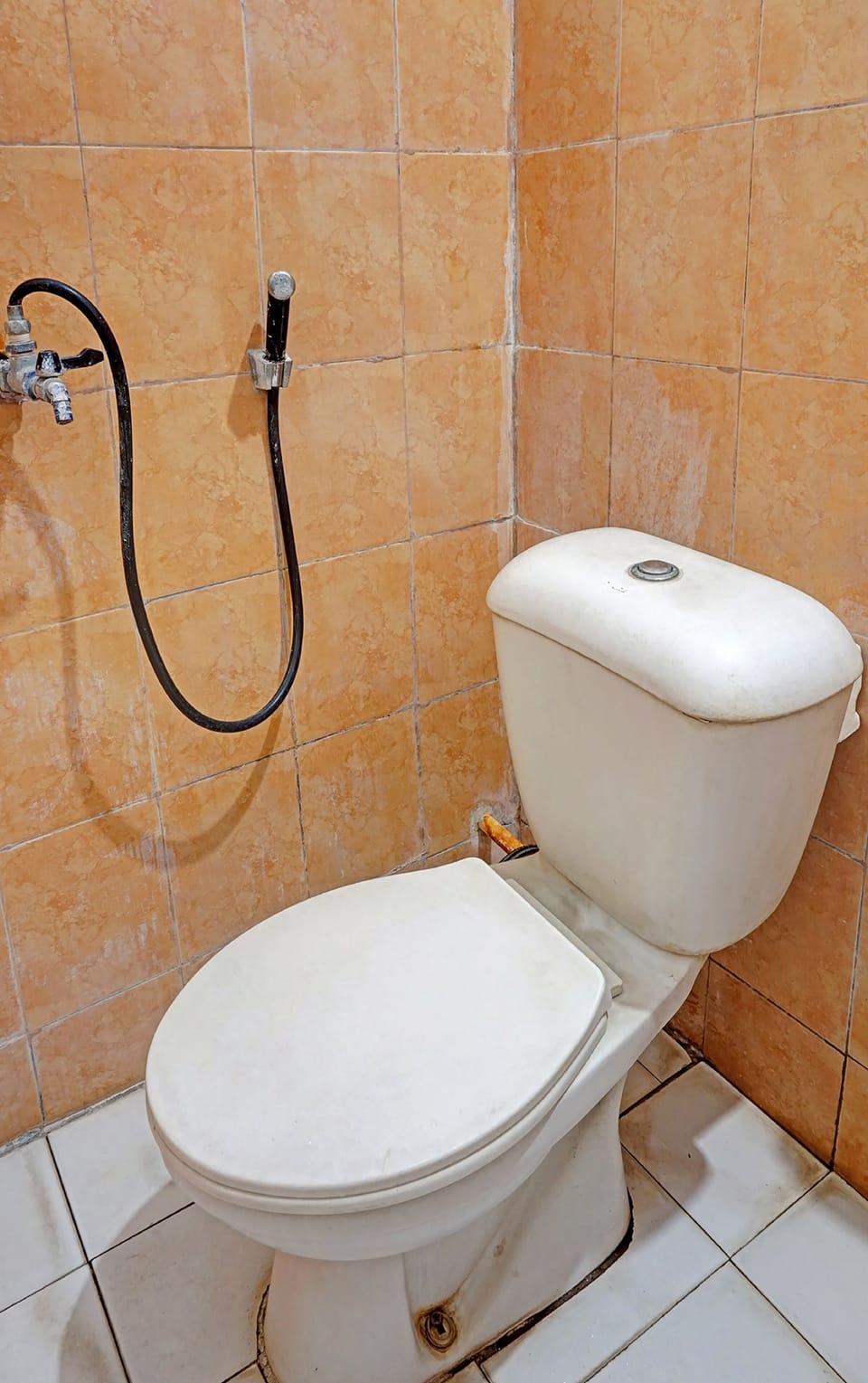 Shower, towels, toilet paper
