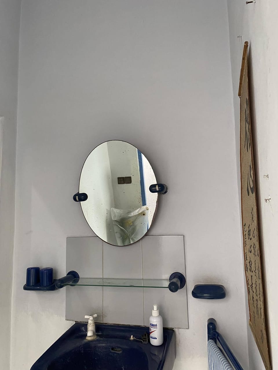 Separate tub and shower, free toiletries, bidet, soap