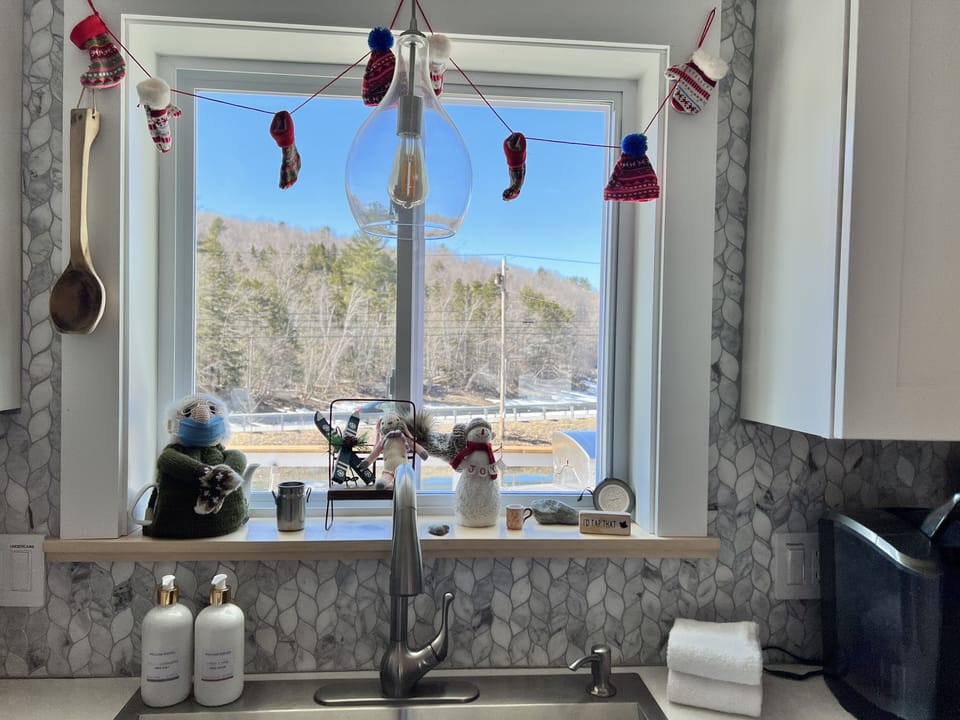 Pond and lake view from kitchen sink window