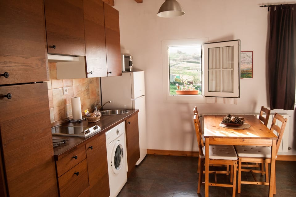 Apartment | Private kitchen | Full-size fridge, microwave, stovetop, coffee/tea maker