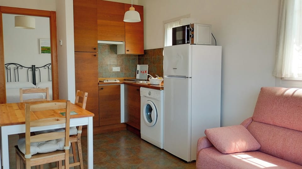 Apartment | Private kitchen | Full-size fridge, microwave, stovetop, coffee/tea maker