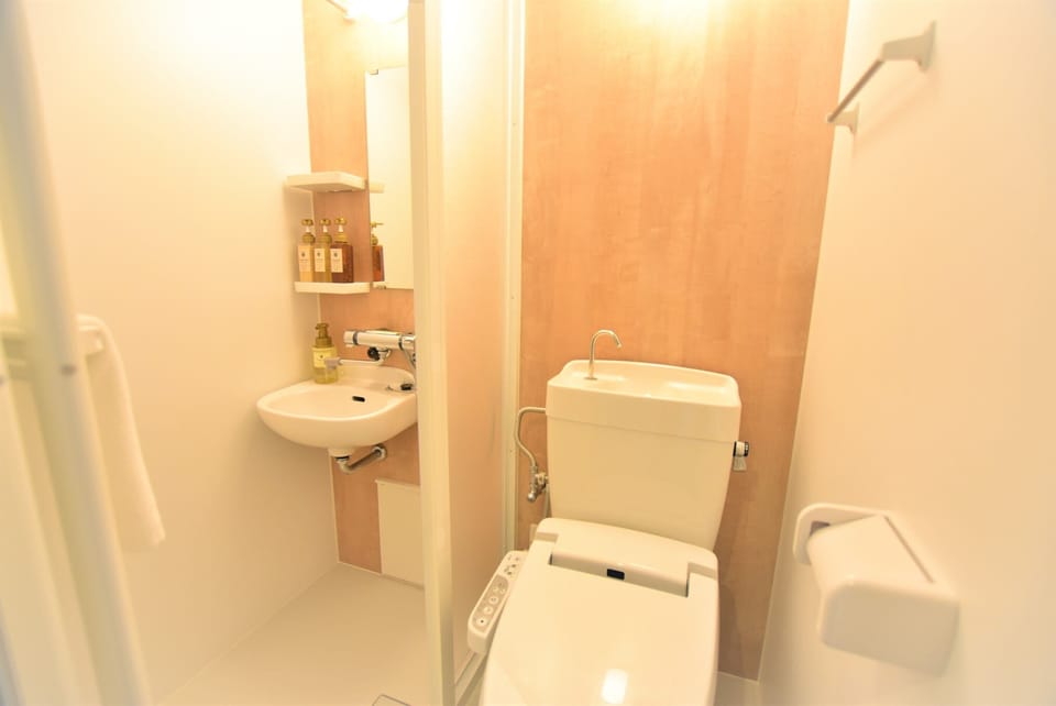 Basic Twin Room | Bathroom | Shower, hydromassage showerhead, designer toiletries, hair dryer
