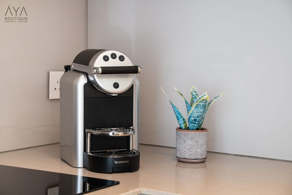 Premium Apartment, 1 Bedroom | Private kitchenette | Full-size fridge, microwave, oven, stovetop