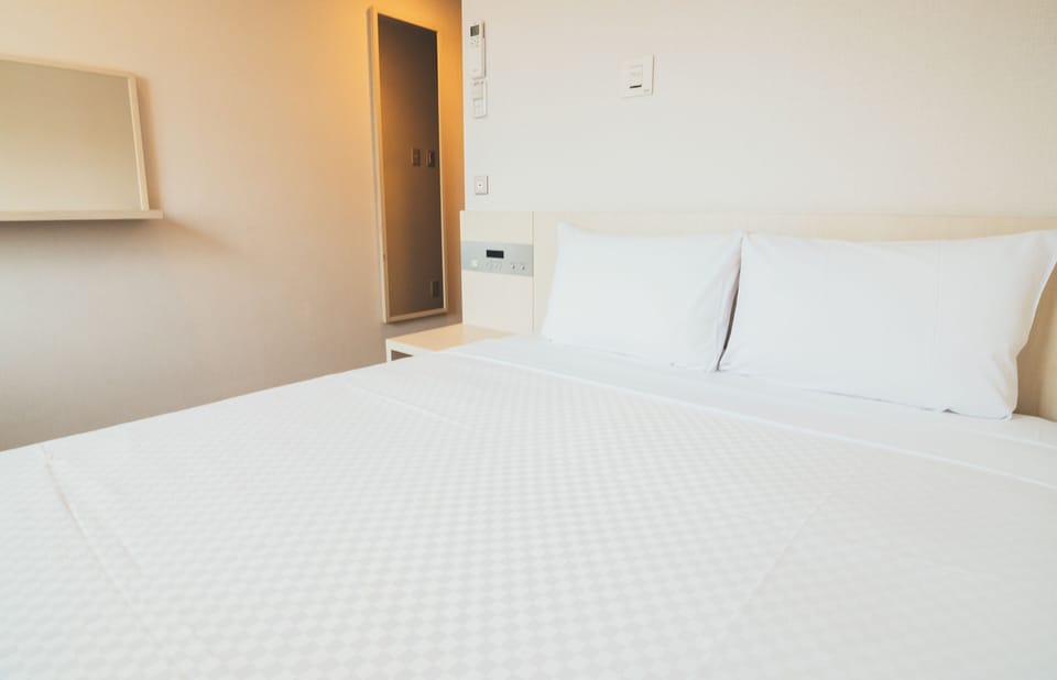 [Free CurryRice&Salad] [Manga Library w/11000 books] Double Room,Non Smoking | Free WiFi, bed sheets