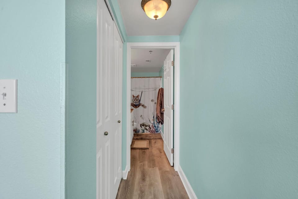 Big closet leads to master bath
